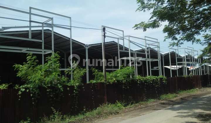 Disewakan Gudang Cangkring Dalam Satu Area di Plered Cirebon Bangunan Gudang 10 Unit 7