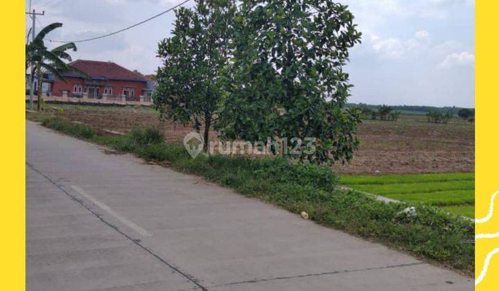 Tanah Cocok Untuk Investasi, Kertajati Majalengka.  1