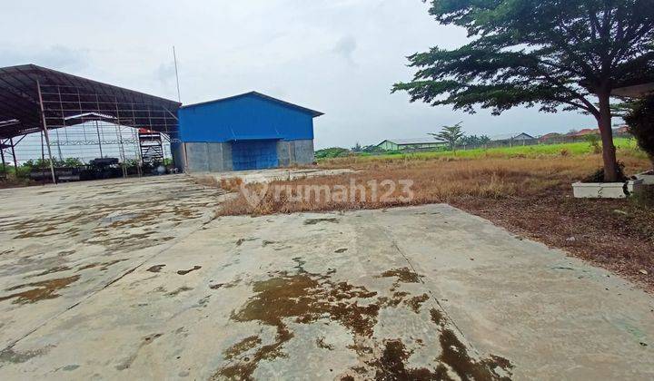 Dijual Gudang 3.500 M 6,7 Ha di Losari, Cirebon, Cirebon 5