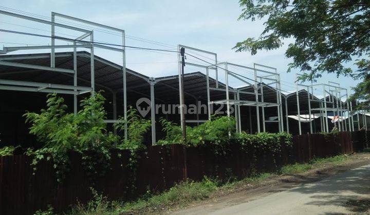 Disewakan Gudang Cangkring Dalam Satu Area di Plered Cirebon 6