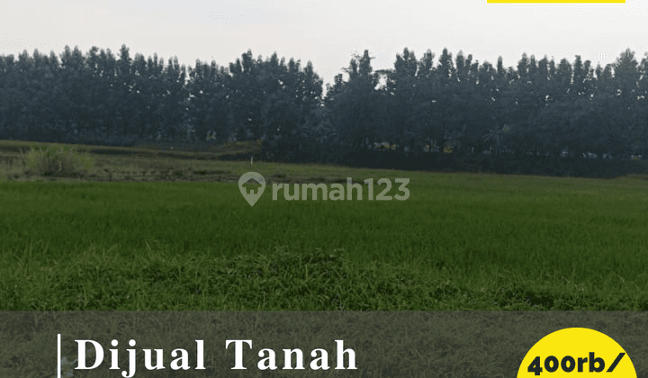 Dijual Tanah 3.533 M2 Untuk Perumahandi Tegal Aren, Majalengka 1