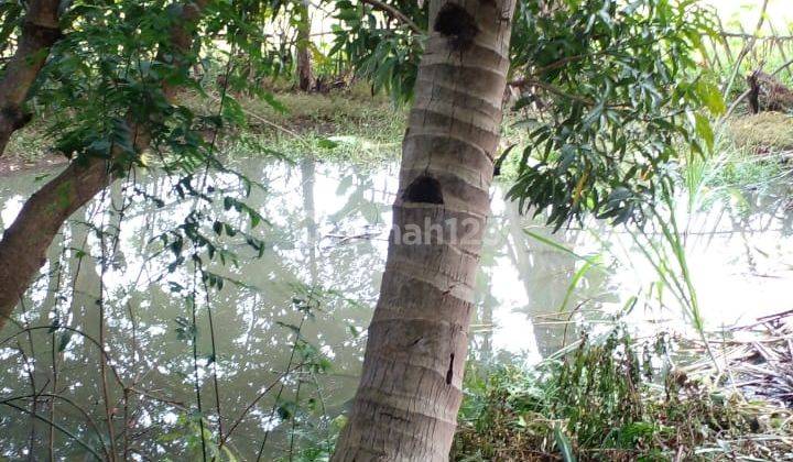 Dijual Cepat Rumah Lahan Luas Siap Huni di Heuleut Kadipaten, Majalengka 5