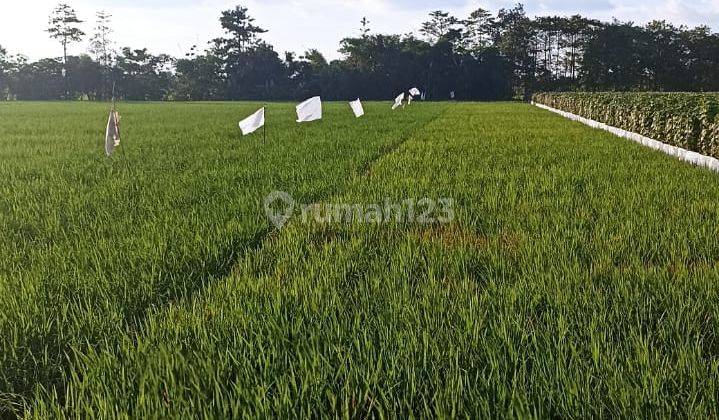 Dijual Tanah Cocok Untuk Perumahan Daerah Ligung Majalengka 2
