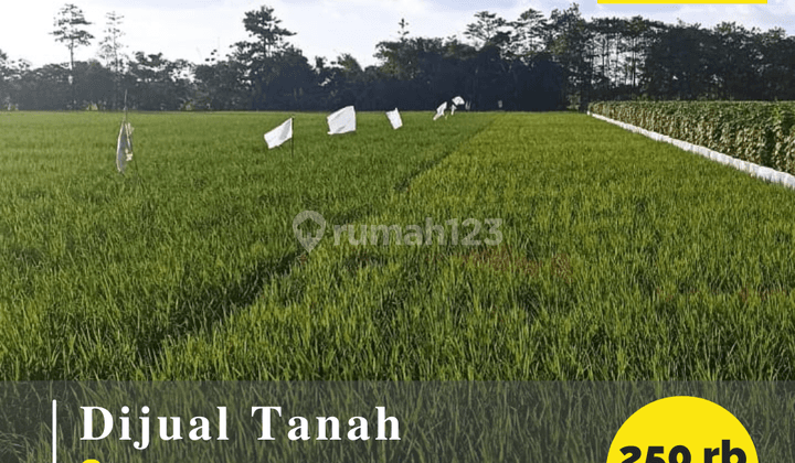 Dijual Tanah Cocok Untuk Perumahan Daerah Ligung Majalengka 1