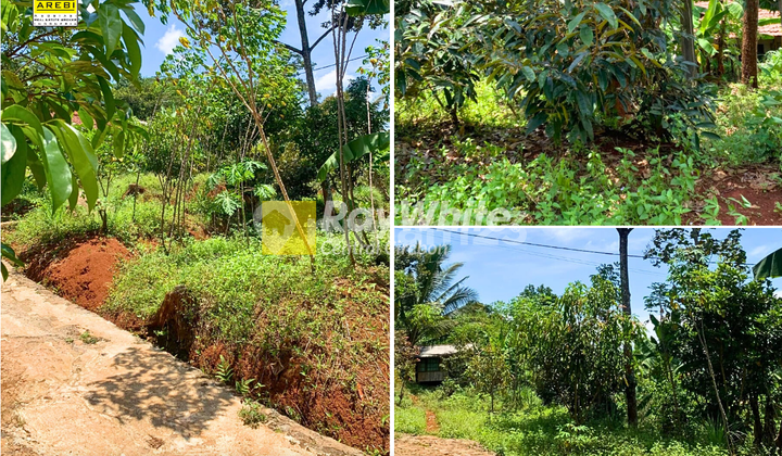 Land for Sale in Rancamulya, North Sumedang Land for Sale in Rancamulya, North Sumedang