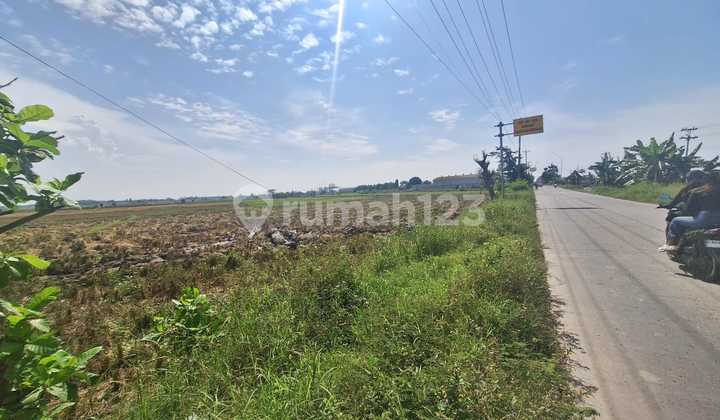 Dijual Tanah SHM di Zona Industri Pemalang, Jawa Tengah Dijual Tanah SHM di Zona Industri Pemalang, Jawa Tengah