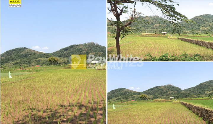 Strategic Land for Sale Located on Mainroad Kramatwangi, Kuningan