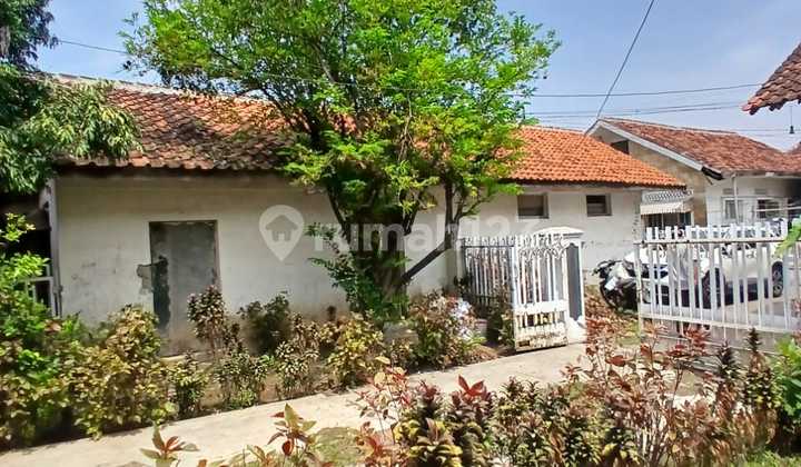 Selling Beautiful Classic House in Kalibaru, Cirebon