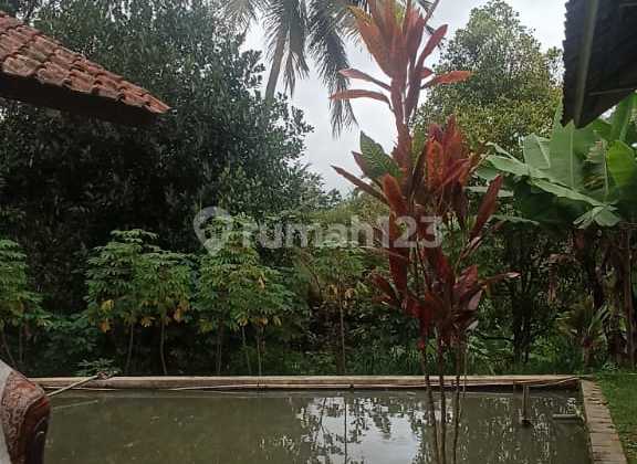 Jual Rumah SHM Terdapat Kolam Ikan di Banjaran, Majalengka 2