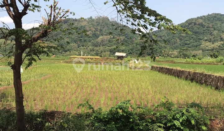 Strategic Land for Sale Located on Mainroad Kramatwangi, Kuningan