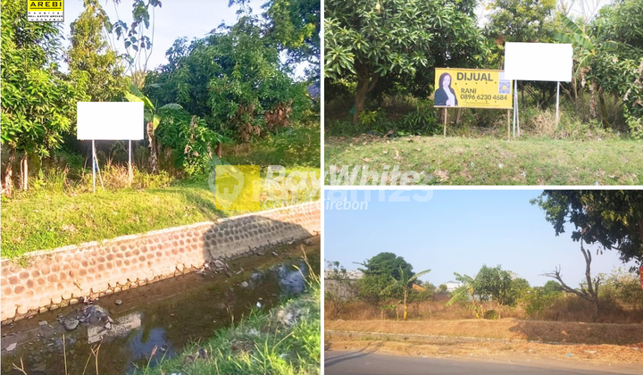 Dijual Tanah SHM di Kedawung, Cirebon Cocok Dijadikan Tempat Usaha Kuliner 