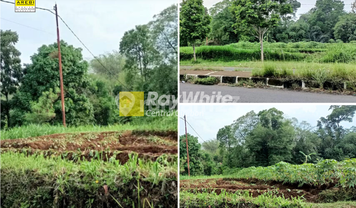 Jual Tanah Sawah SHM di Mainroad Cilimus, Kuningan
