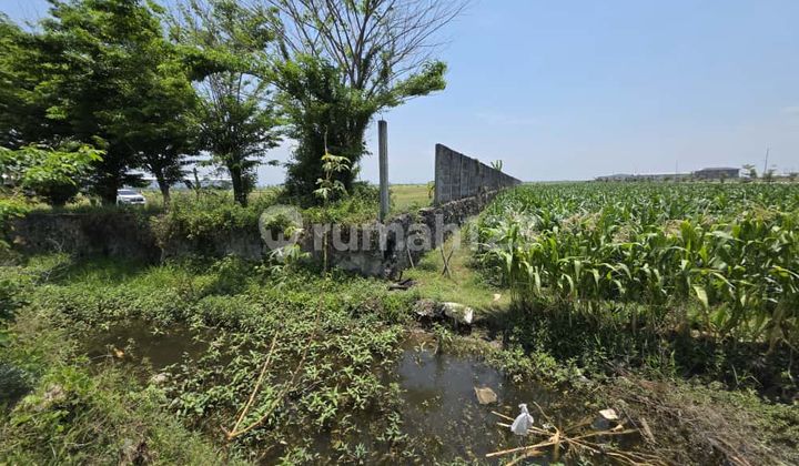 Sell Land in the Ciledug Industrial Zone, Cirebon Sell Land in the Ciledug Industrial Zone, Cirebon
