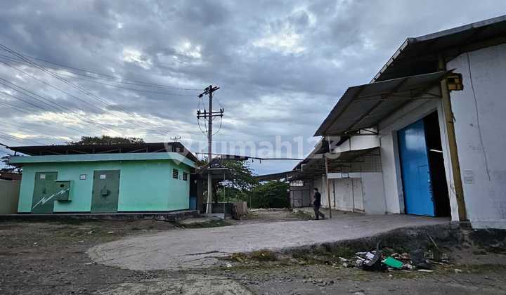 Disewakan Gudang Siap Pakai di Jalan Utama Pantura Klampok, Brebes Disewakan Gudang Siap Pakai di Jalan Utama Pantura Klampok, Brebes