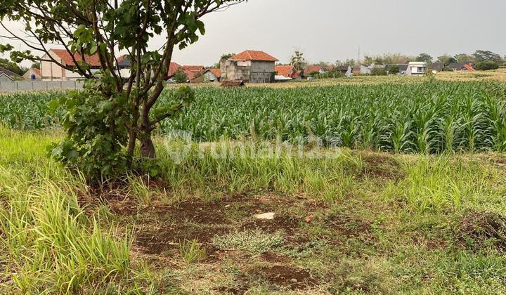 Dijual Tanah 199 M2 di Sindangkasih, Majalengka