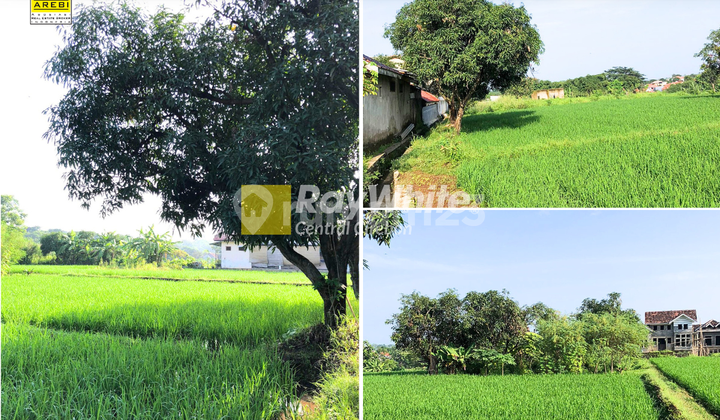 Dijual Tanah di Tengah Kota Majalengka Dijual Tanah di Tengah Kota Majalengka