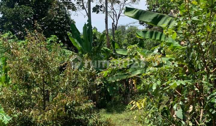 Land for Sale in Rancamulya, North Sumedang Land for Sale in Rancamulya, North Sumedang