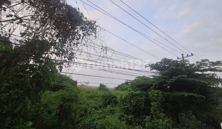 Land for Sale in Kabunan Industrial Zone, Pemalang