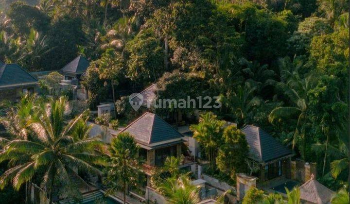 Villa Cantik Swimpool Bonus Tanah Di Ubud Bali 1