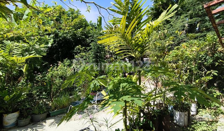 Bonus Land with Building Near Urip Sumoharjo Street, Solo Bonus Land with Building Near Urip Sumoharjo Street, Solo