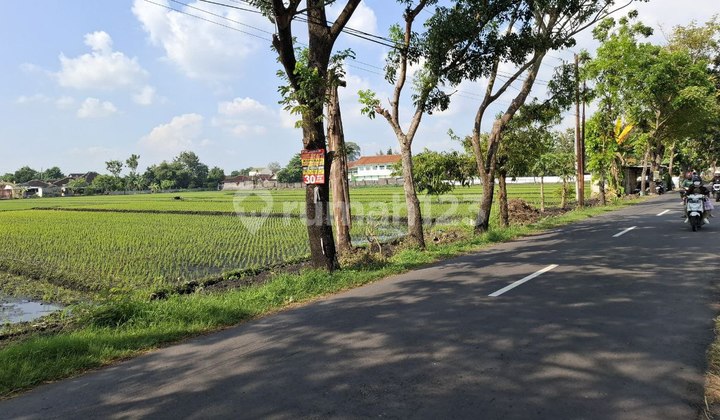 Tanah Murah Di Tasikmadu Karanganyar Area Pergudangan