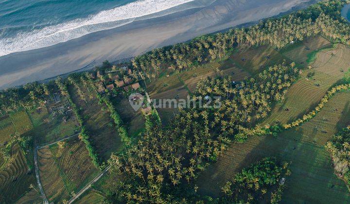 Land Ownership Rights 31 Are Near the Beach in Balian 2