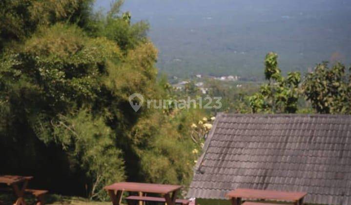 TANAH MURAH BONUS CAFE DAN VILLA DI SALATIGA 1