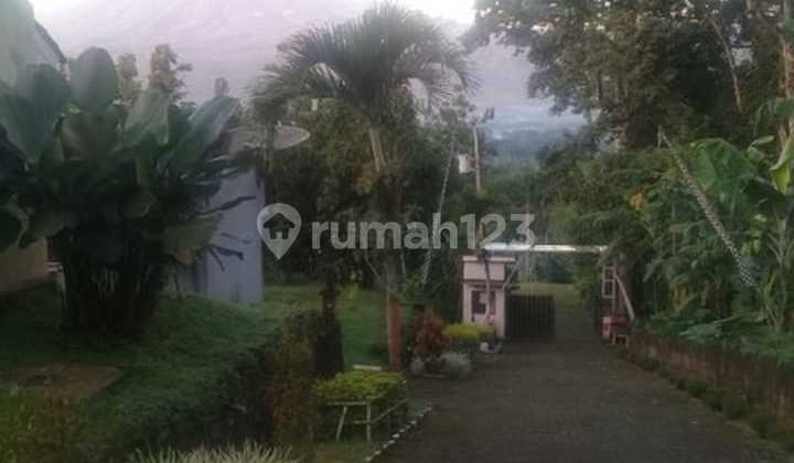 TANAH MURAH BONUS CAFE DAN VILLA DI SALATIGA 5