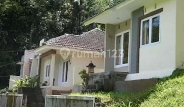 TANAH MURAH BONUS CAFE DAN VILLA DI SALATIGA 3