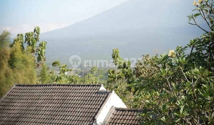 TANAH MURAH BONUS CAFE DAN VILLA DI SALATIGA 6