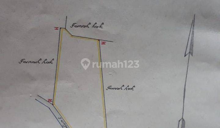 Tanah / Sawah Banyuwangi Singotrunan Lokasi Strategis 1