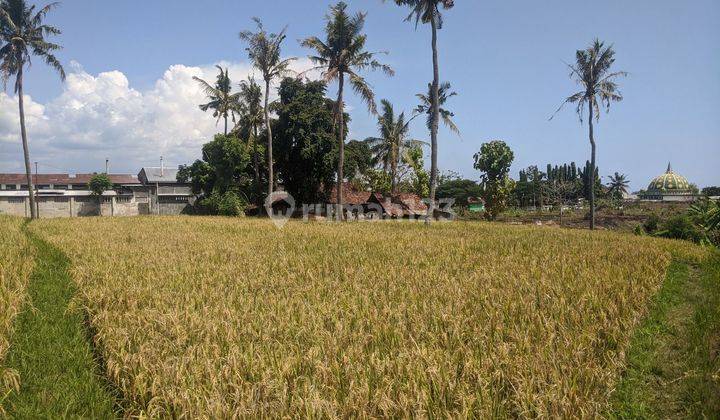 Tanah / Sawah Banyuwangi Singotrunan Lokasi Strategis 2