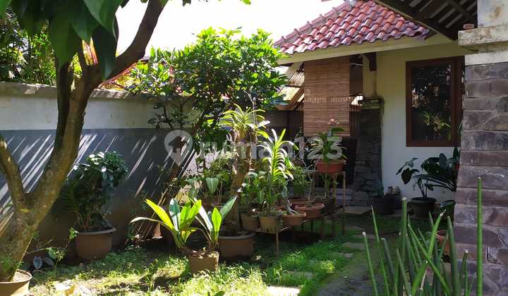 Rumah Megah Sariwangi Ciwaruga Bagus Siap Huni Rumah Megah Sariwangi Ciwaruga Bagus Siap Huni