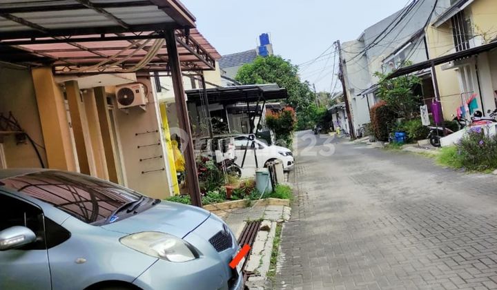 Dijual Pinus Regency Murah Dijual Pinus Regency Murah