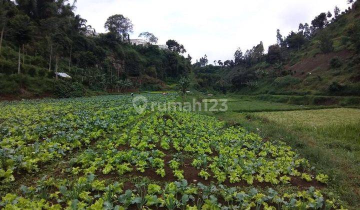 Tanah 12 Ha Ada Air Terjunnya di Kolonel Masturi Cimahi Bandung 1