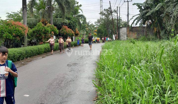 Lahan luas cocok untuk mini cluster  2