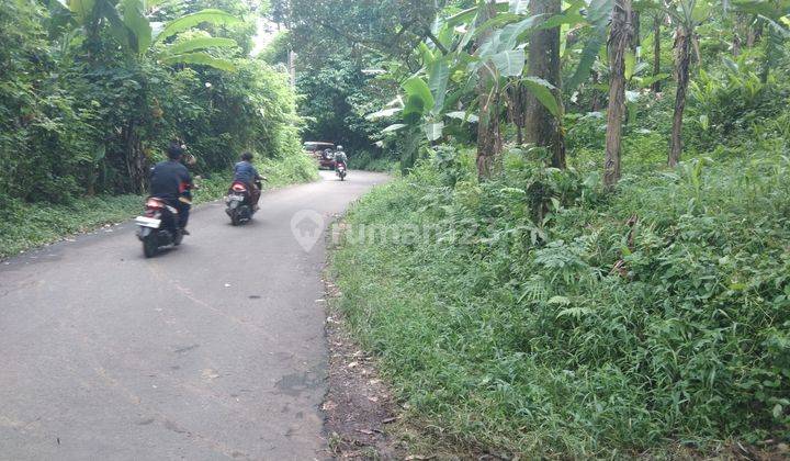 Kebun Durian Luas Produktif Lokasi Pinggir Jalan Raya 2