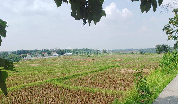 Lahan luas untuk perumahan 1