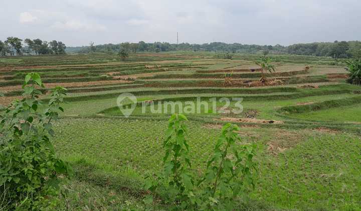 Lahan Bagus Cocok Untuk Perumahan...strategis