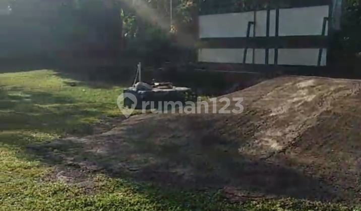 Lahan Kebun Bagus Luas Rapih Datar Sudah Hijau Semua