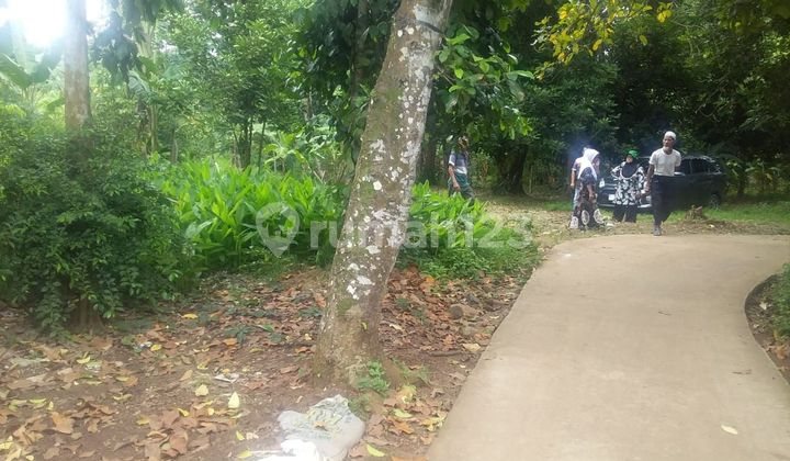 Garden Land 400m² Garden Land 400m²