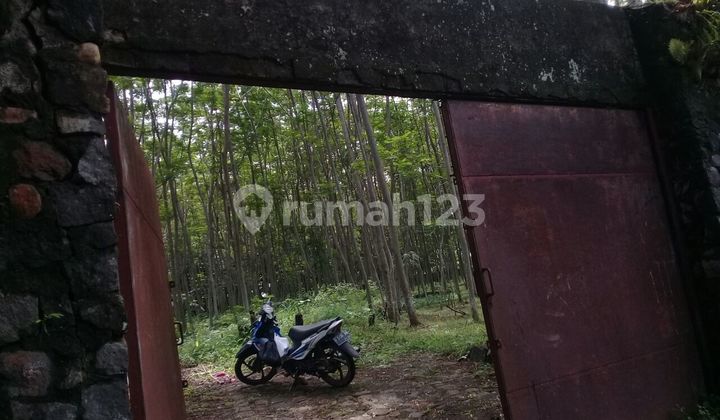 Lahan Luas Di Tegal Lahan Luas Di Tegal