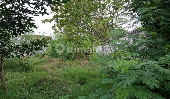 Vacant Land For Sale in Purwasari Karawang.