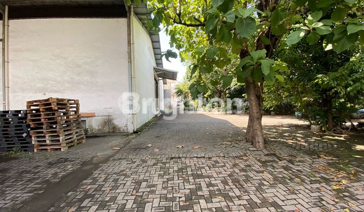 WAREHOUSE LOCATION 0 KENJERAN MAIN ROAD, RARE AND CHEAP, CLOSE TO TANJUNG PERAK PORT WAREHOUSE LOCATION 0 KENJERAN MAIN ROAD, RARE AND CHEAP, CLOSE TO TANJUNG PERAK PORT