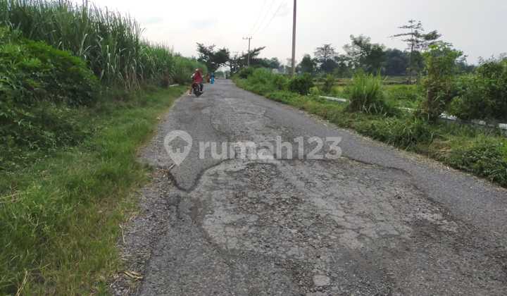 Land in Sukorejo Location accessible by truck