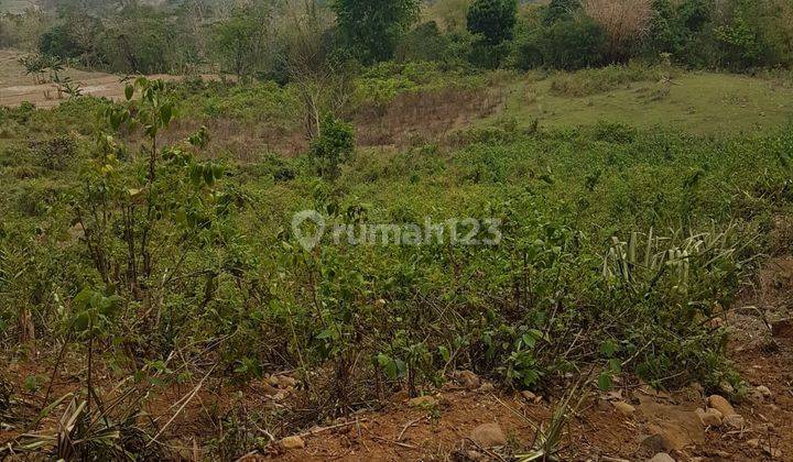 Tanah Luas Pemandangan Perbukitan Cariu Bogor 1