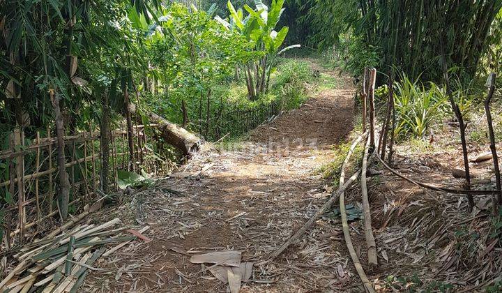 Tanah Luas Pemandangan Perbukitan Cariu Bogor 2