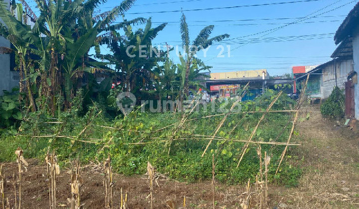 Land for Sale by the Semarang Mijen Highway 2