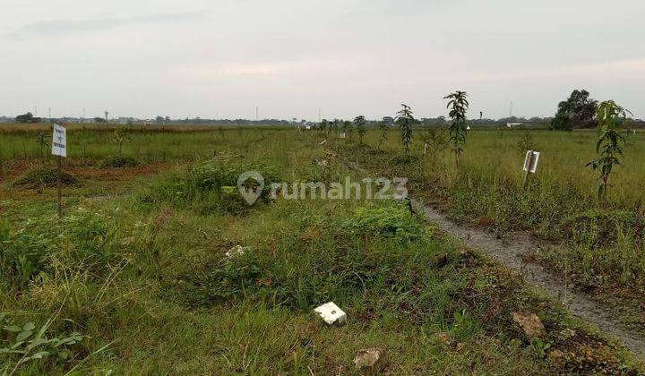 Tanah murah SHM Jungjang Arjawinangun Cirebon 2