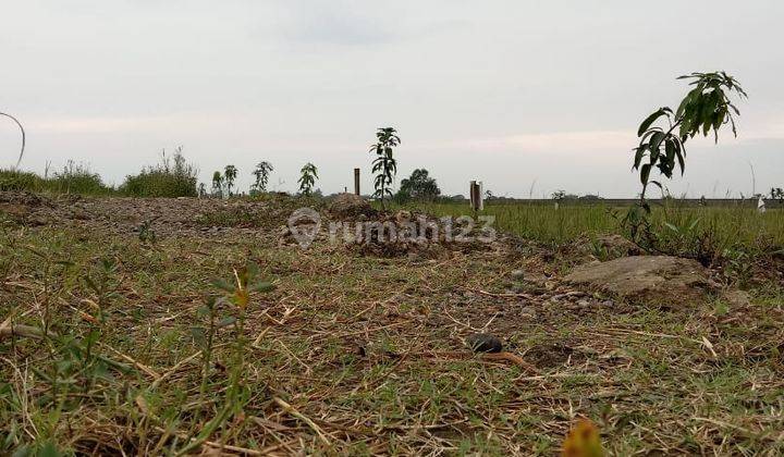 Tanah murah SHM Jungjang Arjawinangun Cirebon 8
